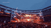 Wrestlemania 35 Sport GIF by WWE