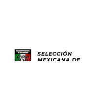 Futbol Mexicano Seleccion Mexicana Sticker by TIKIPR