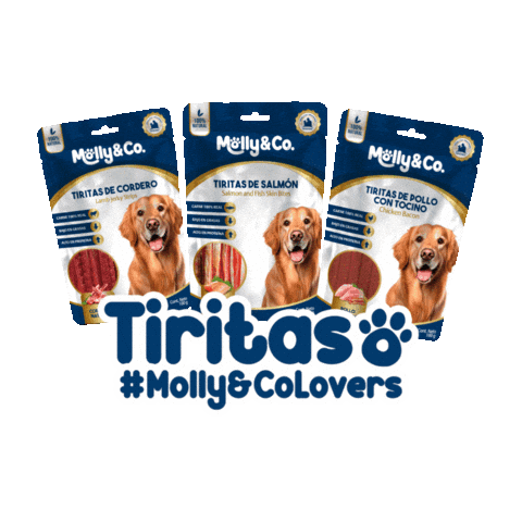 Mollyandco tiritas mollyco mollyandco mollyandcolovers Sticker