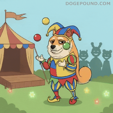 Showing Off Shiba Inu GIF by Doge Pound