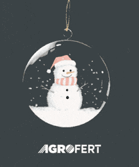 Snowman GIF by AGROFERT