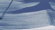 Glacier_3000 travel adventure switzerland mountains GIF
