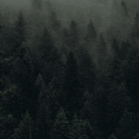 BN3TH  GIF