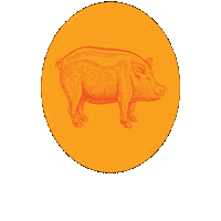 cityofkennesaw pig pigs kennesaw pigs and peaches Sticker