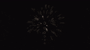 Color Explode GIF by Yea Sure