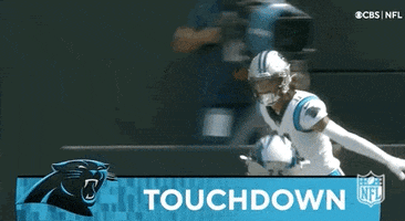 Carolina Panthers Football GIF by NFL