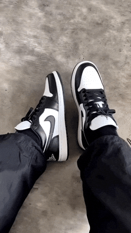 da8cc40f3e00416888ce5bd1b168f707 giphysubir GIF