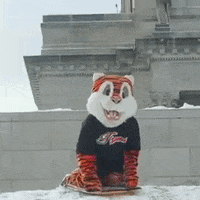 Sledding Snow Day GIF by Rawlings Tigers