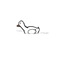 Bird Duck Sticker