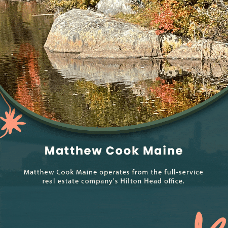 matthewcookmaine giphygifmaker giphyattribution GIF