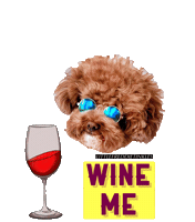 Drunk Weekend Sticker