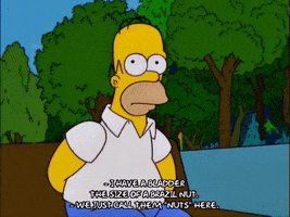 homer simpson GIF