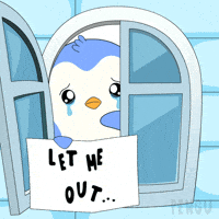 Im Innocent Let Me Go GIF by Pudgy Penguins