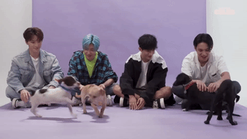 SEVENTEEN Plays with Puppies