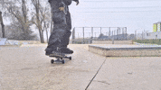 50-50 Rock GIF