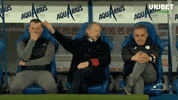 Happy Pro League GIF by Unibet Belgium