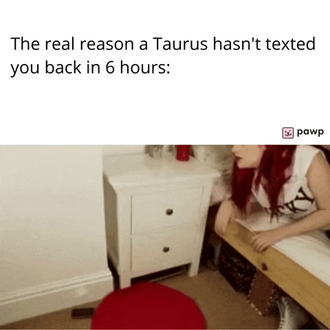 mypawp giphyupload GIF