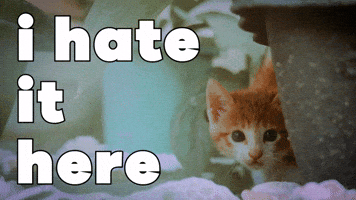 Fed Up Crying GIF by Sealed With A GIF