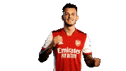 Celebrate Premier League Sticker by Arsenal