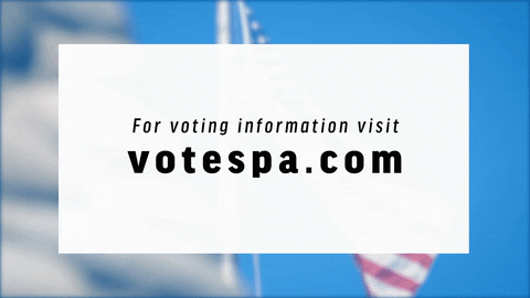 hilary-schenker giphyupload pennsylvania election2020 nonakedballots GIF