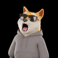 Shiba Inu Omg GIF by Doge Pound