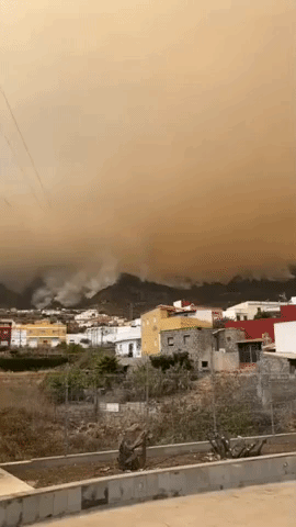 Mountains Shrouded in Smoke as Wildfire Rages on Spain's Tenerife