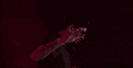 tomorrowland GIF by Robin Schulz
