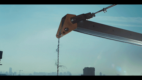 Office Bull GIF by MoneySuperMarket.com