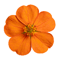 Amazon Port Sticker by Amazon Ads