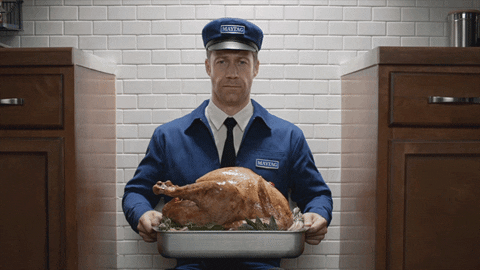 Thanksgiving Turkey Day GIF by Maytag