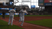 Home Run Baseball GIF by MLB