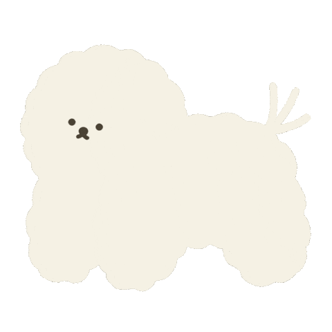 Bichonfrise ビション Sticker