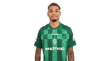 Werder Bremen Sticker by Bundesliga
