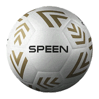 Football Freestyle Freestylefootball Sticker by SPEEN