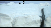 30 seconds to mars a beautiful lie GIF