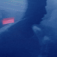 Music Video Dance GIF by Orrin