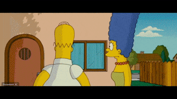 Homer - Monkey