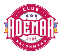 Club Handball Sticker by bmSinFin