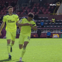 Newcastle United Murphy GIF by Newcastle United Football Club