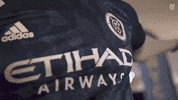 Major League Soccer Mls GIF by NYCFC