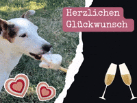 Wuffleckerglückwunsch GIF by WuffLecker