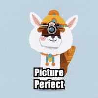 Picture Perfect Travel Photography GIF by Llamaozi