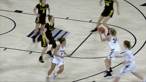 utah state womansbasketball GIF by USUAthletics