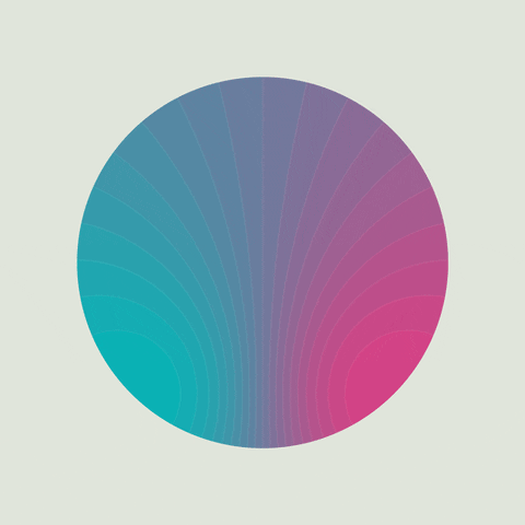 Gif Artist Circle GIF by Clayton Shonkwiler