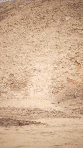 Star Wars Cosplay GIF