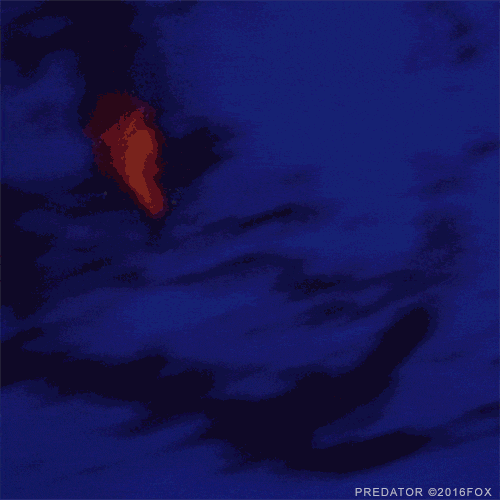 arnold schwarzenegger predator GIF by foxhorror