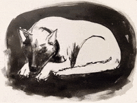 Angry Let Sleeping Dogs Lie GIF by Barbara Pozzi