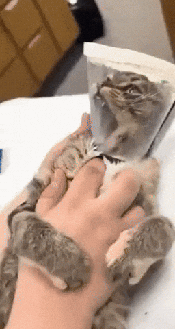 uuusssuuu giphyupload GIF