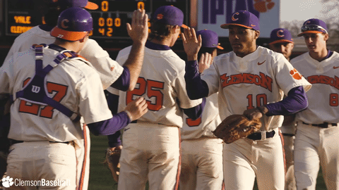 Clemson Baseball GIF by Clemson Tigers