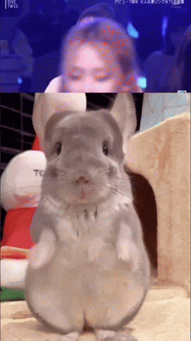 Dive Sue GIF
